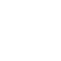 ICON-New-Restart