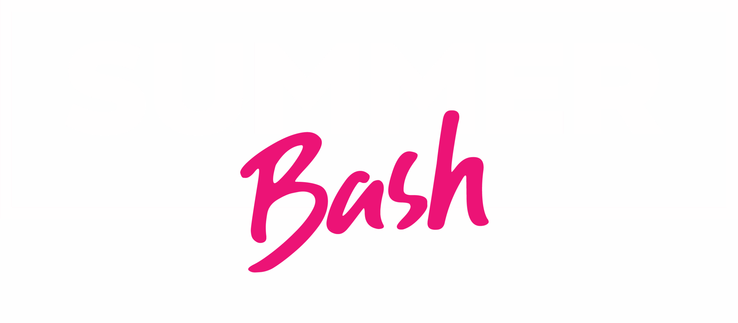 Website Banner Title Summer Bash NO Gradient